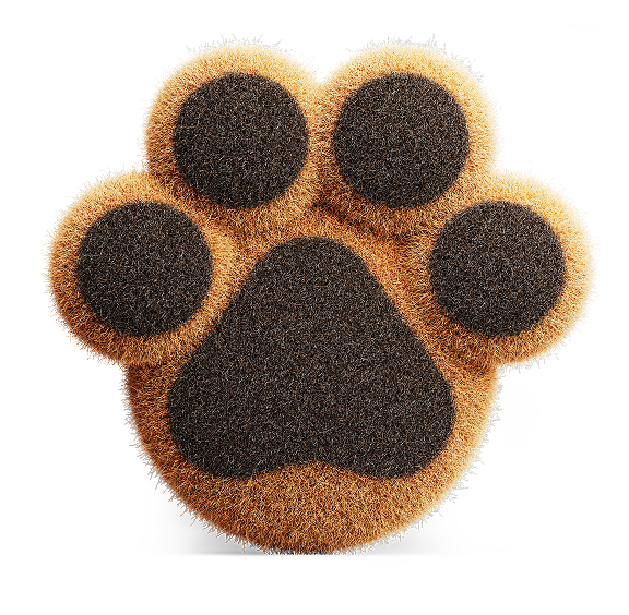Fuzzy pet paw